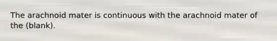 The arachnoid mater is continuous with the arachnoid mater of the (blank).