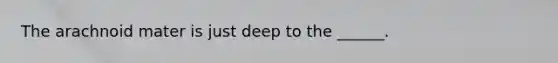 The arachnoid mater is just deep to the ______.