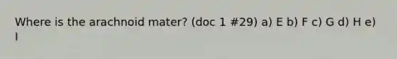 Where is the arachnoid mater? (doc 1 #29) a) E b) F c) G d) H e) I