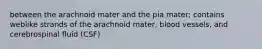 between the arachnoid mater and the pia mater; contains weblike strands of the arachnoid mater, blood vessels, and cerebrospinal fluid (CSF)