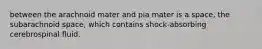between the arachnoid mater and pia mater is a space, the subarachnoid space, which contains shock-absorbing cerebrospinal fluid.