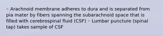 ◦ Arachnoid membrane adheres to dura and is separated from pia mater by fibers spanning the subarachnoid space that is filled with cerebrospinal fluid (CSF) ◦ Lumbar puncture (spinal tap) takes sample of CSF