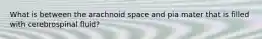 What is between the arachnoid space and pia mater that is filled with cerebrospinal fluid?