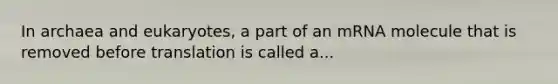 In archaea and eukaryotes, a part of an mRNA molecule that is removed before translation is called a...