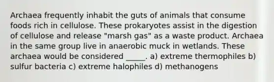 Archaea frequently inhabit the guts of animals that consume foods rich in cellulose. These prokaryotes assist in the digestion of cellulose and release "marsh gas" as a waste product. Archaea in the same group live in anaerobic muck in wetlands. These archaea would be considered _____. a) extreme thermophiles b) sulfur bacteria c) extreme halophiles d) methanogens