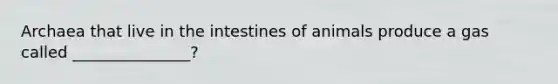 Archaea that live in the intestines of animals produce a gas called _______________?