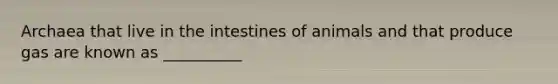 Archaea that live in the intestines of animals and that produce gas are known as __________