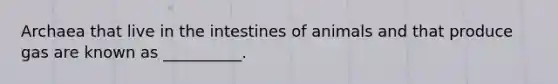 Archaea that live in the intestines of animals and that produce gas are known as __________.