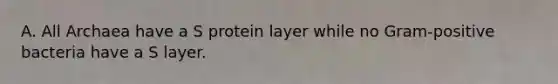 A. All Archaea have a S protein layer while no Gram-positive bacteria have a S layer.