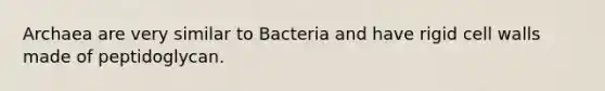 Archaea are very similar to Bacteria and have rigid cell walls made of peptidoglycan.