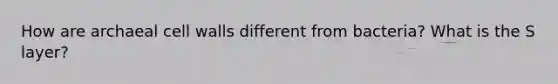 How are archaeal cell walls different from bacteria? What is the S layer?