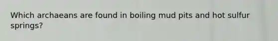 Which archaeans are found in boiling mud pits and hot sulfur springs?