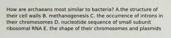 How are archaeans most similar to bacteria? A.the structure of their cell walls B. methanogenesis C. the occurrence of introns in their chromosomes D. nucleotide sequence of small subunit <a href='https://www.questionai.com/knowledge/k4lWAiAI7W-ribosomal-rna' class='anchor-knowledge'>ribosomal rna</a> E. the shape of their chromosomes and plasmids