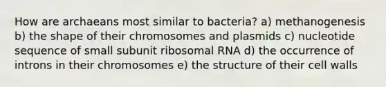 How are archaeans most similar to bacteria? a) methanogenesis b) the shape of their chromosomes and plasmids c) nucleotide sequence of small subunit <a href='https://www.questionai.com/knowledge/k4lWAiAI7W-ribosomal-rna' class='anchor-knowledge'>ribosomal rna</a> d) the occurrence of introns in their chromosomes e) the structure of their cell walls