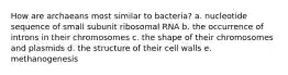 How are archaeans most similar to bacteria? a. nucleotide sequence of small subunit ribosomal RNA b. the occurrence of introns in their chromosomes c. the shape of their chromosomes and plasmids d. the structure of their cell walls e. methanogenesis