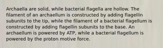 Archaella are solid, while bacterial flagella are hollow. The filament of an archaellum is constructed by adding flagellin subunits to the tip, while the filament of a bacterial flagellum is constructed by adding flagellin subunits to the base. An archaellum is powered by ATP, while a bacterial flagellum is powered by the proton motive force.