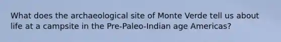 What does the archaeological site of Monte Verde tell us about life at a campsite in the Pre-Paleo-Indian age Americas?