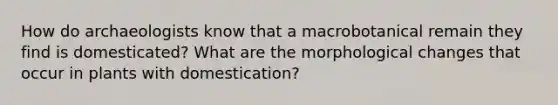 How do archaeologists know that a macrobotanical remain they find is domesticated? What are the morphological changes that occur in plants with domestication?