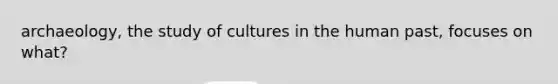 archaeology, the study of cultures in the human past, focuses on what?