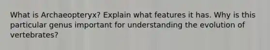 What is Archaeopteryx? Explain what features it has. Why is this particular genus important for understanding the evolution of vertebrates?