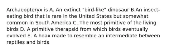 Archaeopteryx is A. An extinct "bird-like" dinosaur B.An insect-eating bird that is rare in the United States but somewhat common in South America C. The most primitive of the living birds D. A primitive therapsid from which birds eventually evolved E. A hoax made to resemble an intermediate between reptiles and birds
