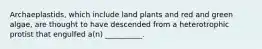 Archaeplastids, which include land plants and red and green algae, are thought to have descended from a heterotrophic protist that engulfed a(n) __________.