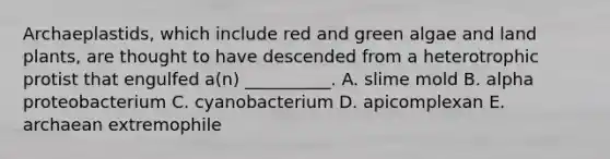 Archaeplastids, which include red and green algae and land plants, are thought to have descended from a heterotrophic protist that engulfed a(n) __________. A. slime mold B. alpha proteobacterium C. cyanobacterium D. apicomplexan E. archaean extremophile