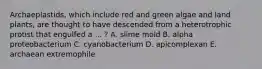 Archaeplastids, which include red and green algae and land plants, are thought to have descended from a heterotrophic protist that engulfed a ... ? A. slime mold B. alpha proteobacterium C. cyanobacterium D. apicomplexan E. archaean extremophile