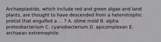 Archaeplastids, which include red and green algae and land plants, are thought to have descended from a heterotrophic protist that engulfed a ... ? A. slime mold B. alpha proteobacterium C. cyanobacterium D. apicomplexan E. archaean extremophile