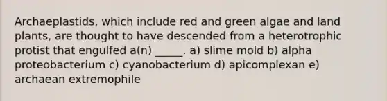 Archaeplastids, which include red and green algae and land plants, are thought to have descended from a heterotrophic protist that engulfed a(n) _____. a) slime mold b) alpha proteobacterium c) cyanobacterium d) apicomplexan e) archaean extremophile