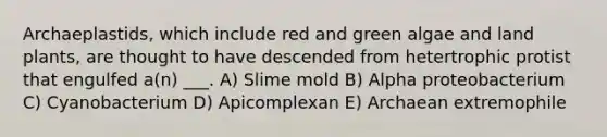 Archaeplastids, which include red and green algae and land plants, are thought to have descended from hetertrophic protist that engulfed a(n) ___. A) Slime mold B) Alpha proteobacterium C) Cyanobacterium D) Apicomplexan E) Archaean extremophile