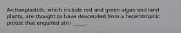 Archaeplastids, which include red and green algae and land plants, are thought to have descended from a heterotrophic protist that engulfed a(n) _____.