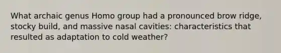 What archaic genus Homo group had a pronounced brow ridge, stocky build, and massive nasal cavities: characteristics that resulted as adaptation to cold weather?