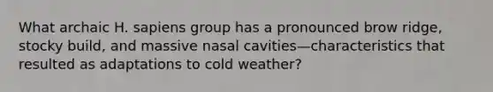 What archaic H. sapiens group has a pronounced brow ridge, stocky build, and massive nasal cavities—characteristics that resulted as adaptations to cold weather?