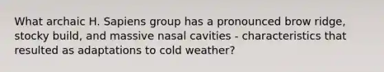 What archaic H. Sapiens group has a pronounced brow ridge, stocky build, and massive nasal cavities - characteristics that resulted as adaptations to cold weather?