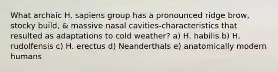 What archaic H. sapiens group has a pronounced ridge brow, stocky build, & massive nasal cavities-characteristics that resulted as adaptations to cold weather? a) H. habilis b) H. rudolfensis c) H. erectus d) Neanderthals e) anatomically modern humans