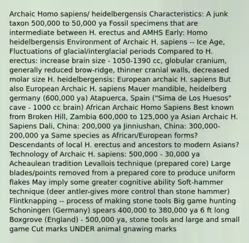 Archaic Homo sapiens/ heidelbergensis Characteristics: A junk taxon 500,000 to 50,000 ya Fossil specimens that are intermediate between H. erectus and AMHS Early: Homo heidelbergensis Environment of Archaic H. sapiens -- Ice Age, Fluctuations of glacial/interglacial periods Compared to H. erectus: increase brain size - 1050-1390 cc, globular cranium, generally reduced brow-ridge, thinner cranial walls, decreased molar size H. heidelbergensis: European archaic H. sapiens But also European Archaic H. sapiens Mauer mandible, heidelberg germany (600,000 ya) Atapuerca, Spain ("Sima de Los Huesos" cave - 1000 cc brain) African Archaic Homo Sapiens Best known from Broken Hill, Zambia 600,000 to 125,000 ya Asian Archaic H. Sapiens Dali, China: 200,000 ya Jinniushan, China: 300,000-200,000 ya Same species as African/European forms? Descendants of local H. erectus and ancestors to modern Asians? Technology of Archaic H. sapiens: 500,000 - 30,000 ya Acheaulean tradition Levallois technique (prepared core) Large blades/points removed from a prepared core to produce uniform flakes May imply some greater cognitive ability Soft-hammer technique (deer antler-gives more control than stone hammer) Flintknapping -- process of making stone tools Big game hunting Schoningen (Germany) spears 400,000 to 380,000 ya 6 ft long Boxgrove (England) - 500,000 ya, stone tools and large and small game Cut marks UNDER animal gnawing marks