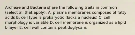 Archeae and Bacteria share the following traits in common (select all that apply): A. plasma membranes composed of fatty acids B. cell type is prokaryotic (lacks a nucleus) C. cell morphology is variable D. cell membrane is organized as a lipid bilayer E. cell wall contains peptidoglycans