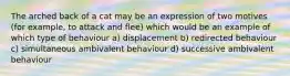 The arched back of a cat may be an expression of two motives (for example, to attack and flee) which would be an example of which type of behaviour a) displacement b) redirected behaviour c) simultaneous ambivalent behaviour d) successive ambivalent behaviour