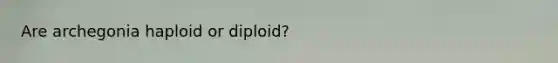 Are archegonia haploid or diploid?