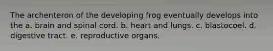 The archenteron of the developing frog eventually develops into the a. brain and spinal cord. b. heart and lungs. c. blastocoel. d. digestive tract. e. reproductive organs.