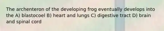 The archenteron of the developing frog eventually develops into the A) blastocoel B) heart and lungs C) digestive tract D) brain and spinal cord