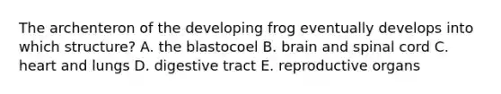 The archenteron of the developing frog eventually develops into which structure? A. the blastocoel B. brain and spinal cord C. heart and lungs D. digestive tract E. reproductive organs