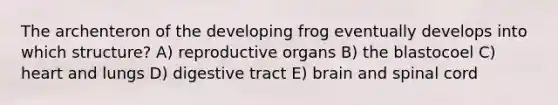 The archenteron of the developing frog eventually develops into which structure? A) reproductive organs B) the blastocoel C) heart and lungs D) digestive tract E) brain and spinal cord