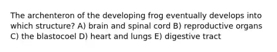 The archenteron of the developing frog eventually develops into which structure? A) brain and spinal cord B) reproductive organs C) the blastocoel D) heart and lungs E) digestive tract