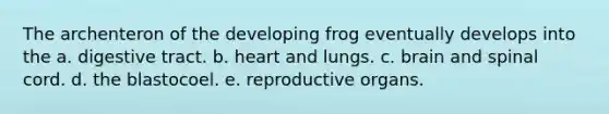 The archenteron of the developing frog eventually develops into the a. digestive tract. b. heart and lungs. c. brain and spinal cord. d. the blastocoel. e. reproductive organs.