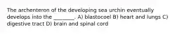 The archenteron of the developing sea urchin eventually develops into the ________. A) blastocoel B) heart and lungs C) digestive tract D) brain and spinal cord