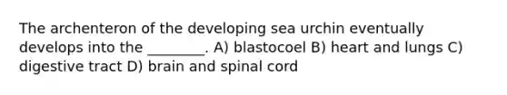 The archenteron of the developing sea urchin eventually develops into the ________. A) blastocoel B) heart and lungs C) digestive tract D) brain and spinal cord