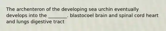 The archenteron of the developing sea urchin eventually develops into the ________. blastocoel brain and spinal cord heart and lungs digestive tract