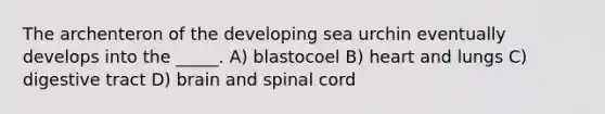 The archenteron of the developing sea urchin eventually develops into the _____. A) blastocoel B) heart and lungs C) digestive tract D) brain and spinal cord